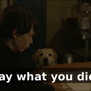 Say what you did.