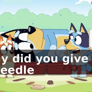 Why did you give me a needle