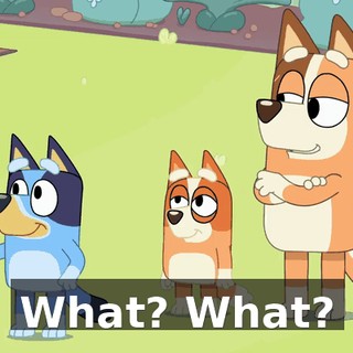 What? What?