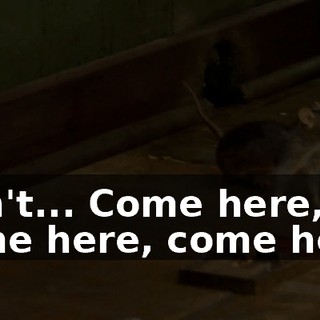 35a017a0-14b4-4618-a7d1-d524b6a8e28a.gif