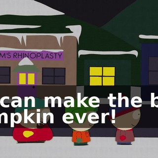 we can make the best pumpkin ever!