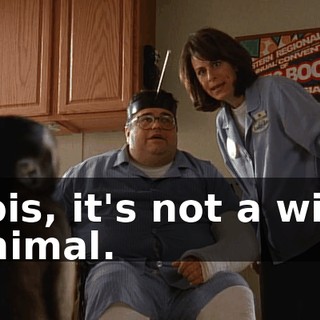 Lois, it's not a wild animal.