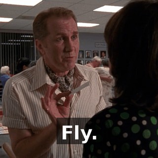 Fly.