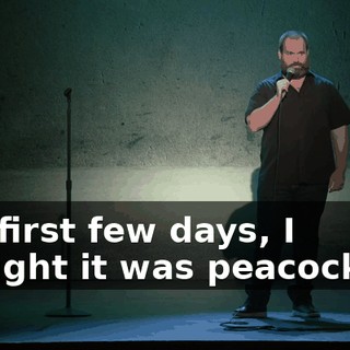 The first few days, I thought it was peacocking.