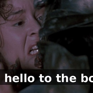 say hello to the boys.