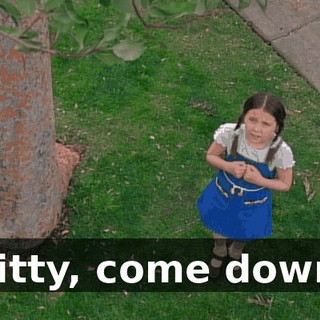 Kitty, come down.