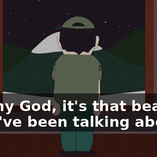 Oh my God, it's that bear they've been talking about!!
