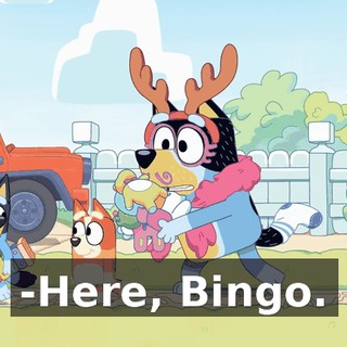 -Here, Bingo.