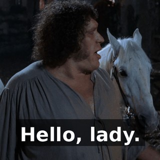 Hello, lady.