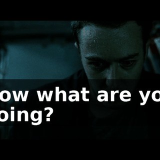 Now what are you doing?
