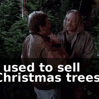 I used to sell Christmas trees.