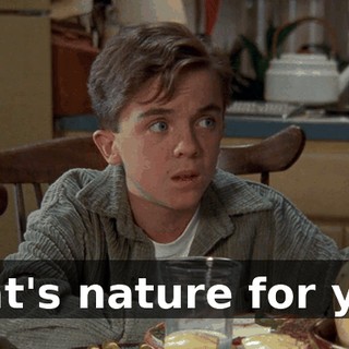 That's nature for you.