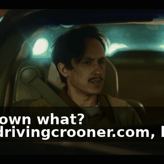 -You own what? -Thedrivingcrooner.com, baby.