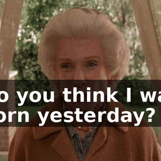 Do you think I was born yesterday?