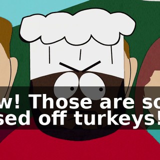 Wow! Those are some pissed off turkeys!