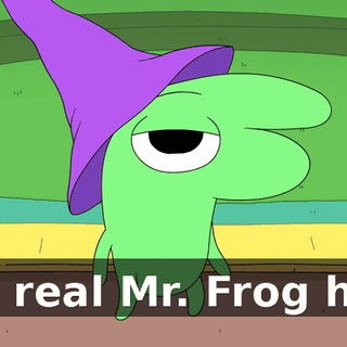 the real Mr. Frog had.