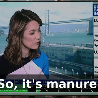 So, it's manure,