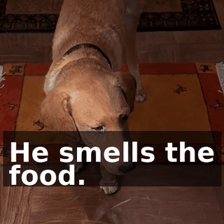 3941eb73-5f0d-4bd9-83a6-9af79798fbca.gif
