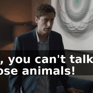 No, you can't talk to those animals!