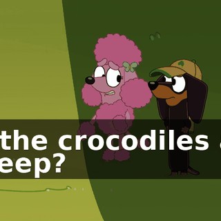 all the crocodiles are asleep?