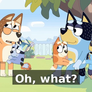 396e31bb-b8c4-486c-a3c3-7d856dd39728.gif