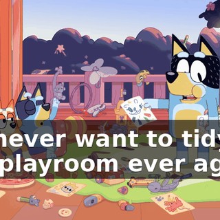 we never want to tidy the playroom ever again.