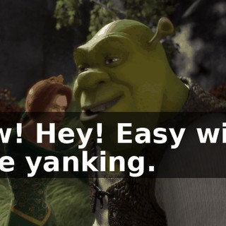 Ow! Hey! Easy with the yanking.