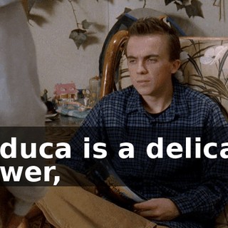 3a510ed3-c019-4e32-99d9-f57251e8878e.gif