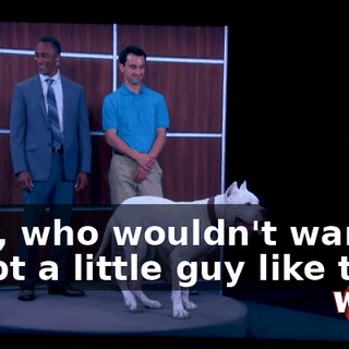 3a7ec653-87c6-49d0-bc80-1f34b2f42d51.gif