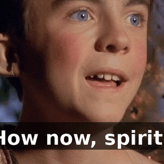 How now, spirit?