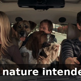 3a9b7730-4c07-479a-89ea-08aa433f1793.gif