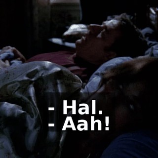 - Hal. - Aah!