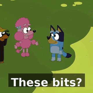 These bits?