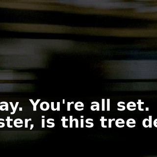 - Okay. You're all set. - Mister, is this tree dead?