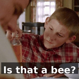 Is that a bee?