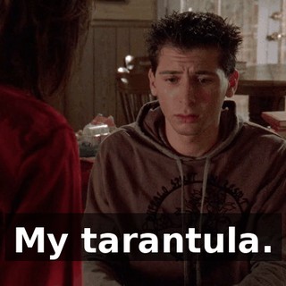 My tarantula.