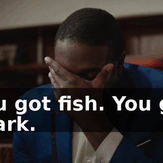 You got fish. You got shark.