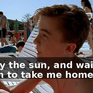 enjoy the sun, and wait for them to take me home.
