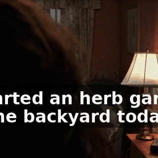 I started an herb garden in the backyard today.