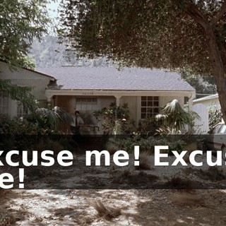 Excuse me! Excuse me!