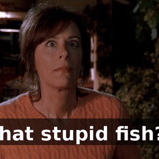 That stupid fish?!