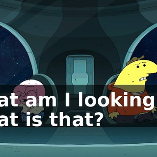 What am I looking at? What is that?