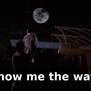 Show me the way!