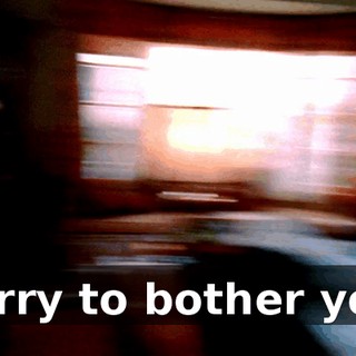 Sorry to bother you.
