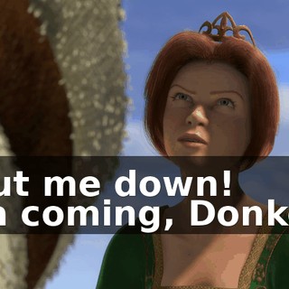 - Put me down! - Ya coming, Donkey?