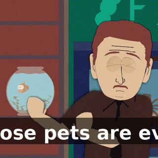 Those pets are evil!