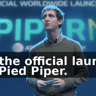 to the official launch of Pied Piper.