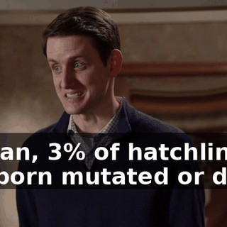 3c9113c9-5c73-4d1a-9a3e-573d5b64ef3e.gif