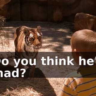 Do you think he's mad?