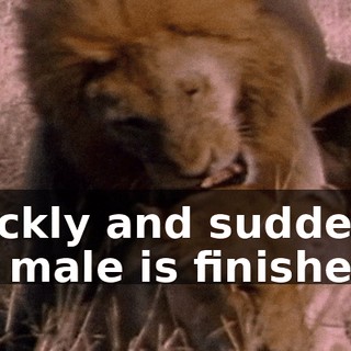 3cde5de2-c0aa-4d70-87e8-3e7330f19848.gif